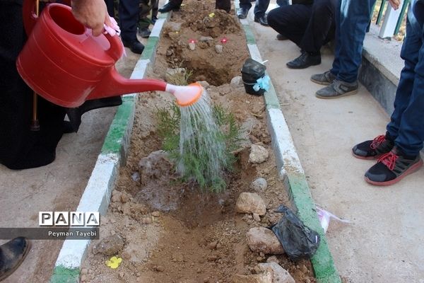 برگزاری آیین روز درختکاری در دبستان شهید رجایی سمنان