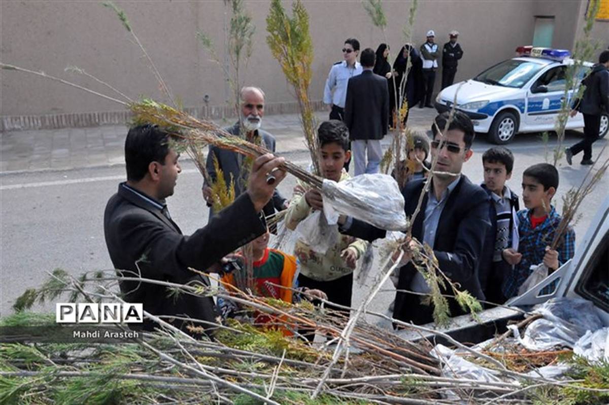 توزیع 40 هزار نهال درشهرستان  خوسف