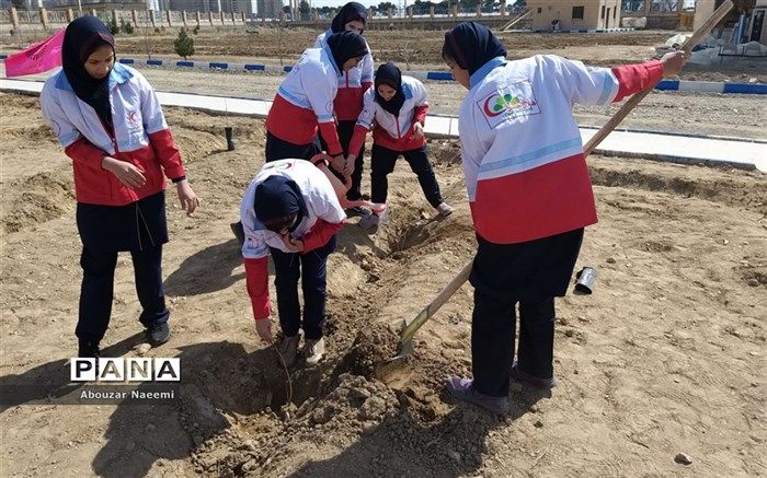 سرپرست جمعیت هلال احمر شهرستان پاکدشت: حفظ درخت یک فرهنگ است