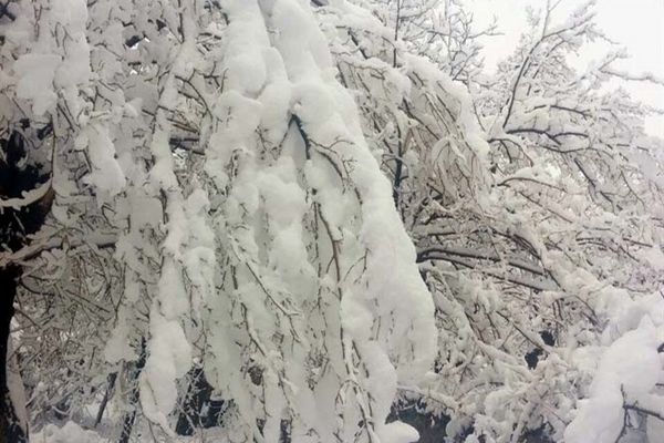 بارش اولین  برف در شهرستان های خراسان جنوبی