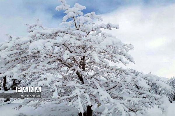 بارش اولین  برف در شهرستان های خراسان جنوبی