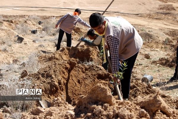 درختکاری دانش‌آموزان پیشتاز در بیمارستان پیوند اعضاء شیراز