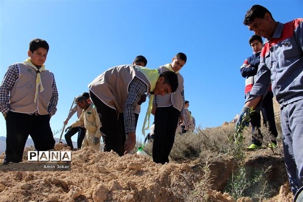 درختکاری دانش‌آموزان پیشتاز در بیمارستان پیوند اعضاء شیراز