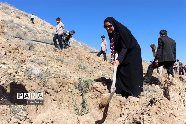 درختکاری دانش‌آموزان پیشتاز در بیمارستان پیوند اعضاء شیراز