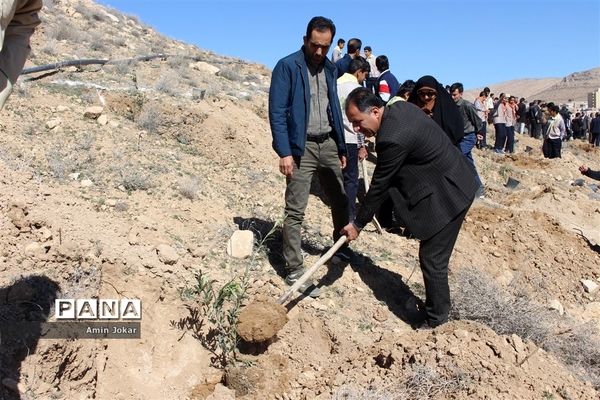 درختکاری دانش‌آموزان پیشتاز در بیمارستان پیوند اعضاء شیراز