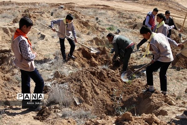 درختکاری دانش‌آموزان پیشتاز در بیمارستان پیوند اعضاء شیراز