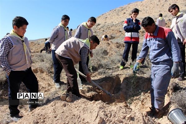 درختکاری دانش‌آموزان پیشتاز در بیمارستان پیوند اعضاء شیراز