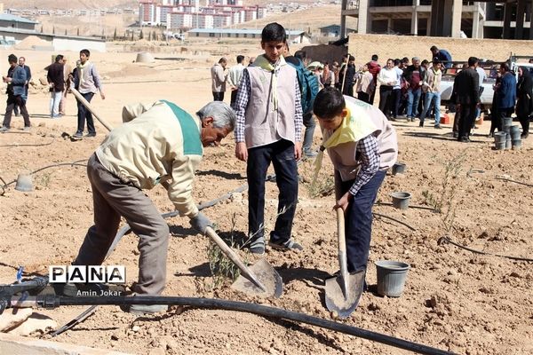 درختکاری دانش‌آموزان پیشتاز در بیمارستان پیوند اعضاء شیراز