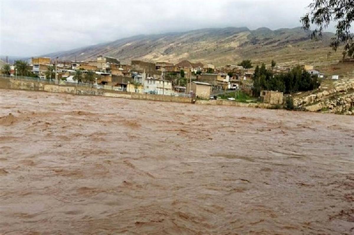 معاون تولیدات دامی جهاد کشاورزی: نهاده‌های دامی سیل‌زدگان گلستان تامین و توزیع شد