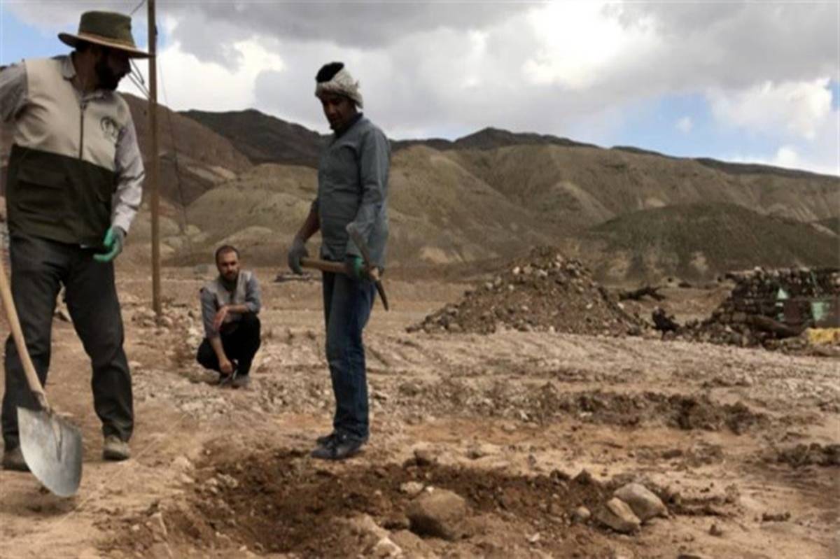 خدمت رسانی ۳۰ گروه جهادی قم در ۸ استان کشور در ایام نوروز