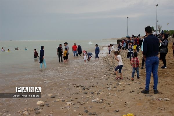 مسافران نوروزی بوشهر-2