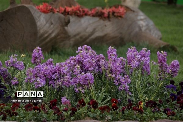 باغ گیاه شناسی مشهد