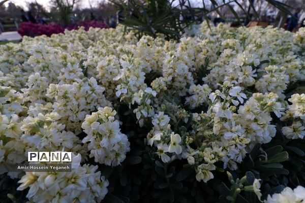 باغ گیاه شناسی مشهد