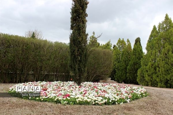 باغ گیاه شناسی ملی ایران