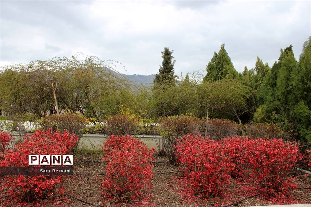 باغ گیاه شناسی ملی ایران