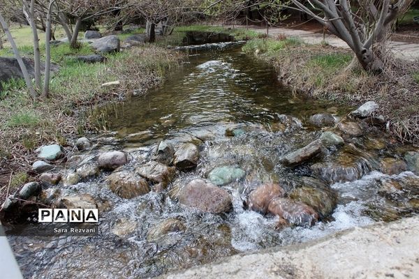 باغ گیاه شناسی ملی ایران