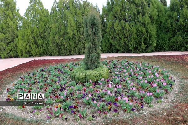 باغ گیاه شناسی ملی ایران