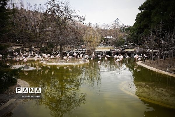 باغ پرندگان تهران در نوروز 98