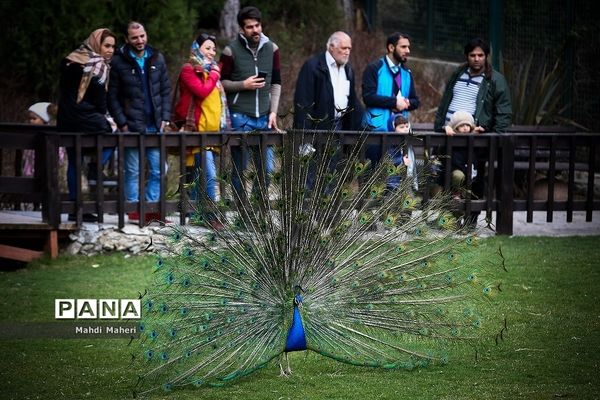 باغ پرندگان تهران در نوروز 98