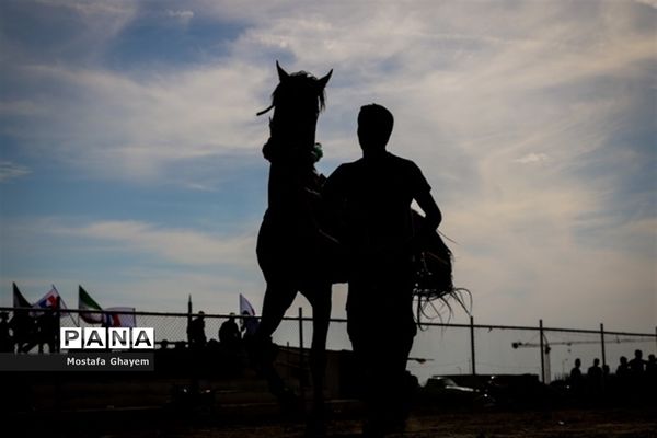 برگزاری مسابقات کورس اسب دوانی براق اروند  به میزبانی منطقه آزاد اروند