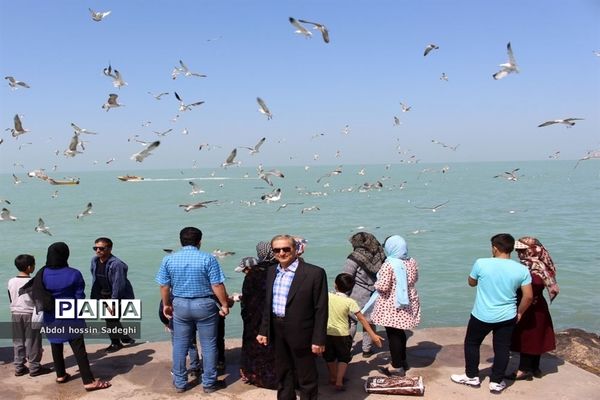 مسافران نوروزی در بوشهر-3