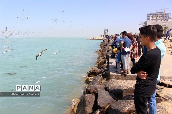 مسافران نوروزی در بوشهر-3
