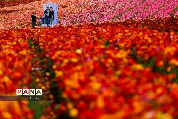 شروع فصل بهار در نیم کره شمالی