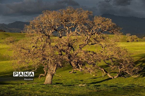 شروع فصل بهار در نیم کره شمالی