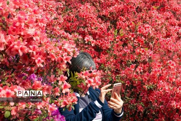 شروع فصل بهار در نیم کره شمالی