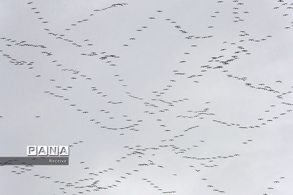شروع فصل بهار در نیم کره شمالی