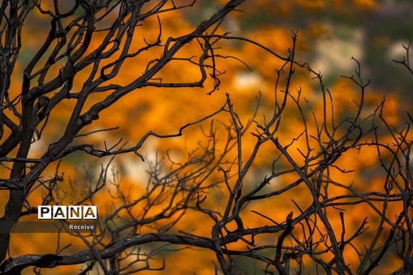 شروع فصل بهار در نیم کره شمالی