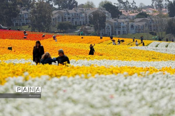 شروع فصل بهار در نیم کره شمالی