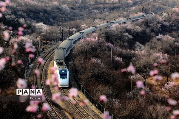 شروع فصل بهار در نیم کره شمالی