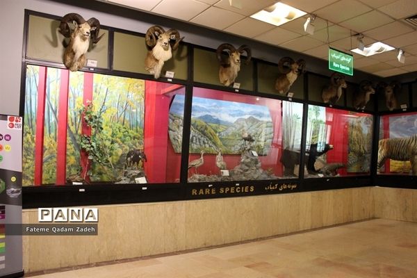 موزه حیات وحش پارک پردیسان تهران