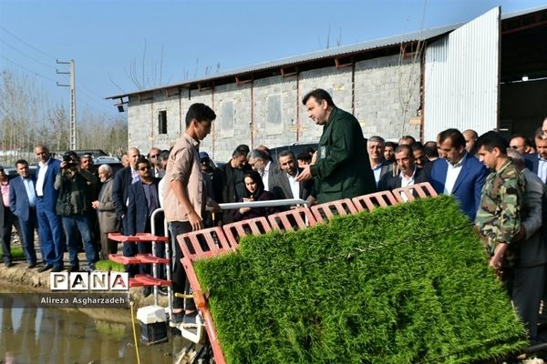 آیین اولین نشاء مکانیزه برنج کشور در روستای باقرتنگه بابلسر