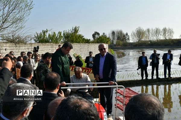 آیین اولین نشاء مکانیزه برنج کشور در روستای باقرتنگه بابلسر