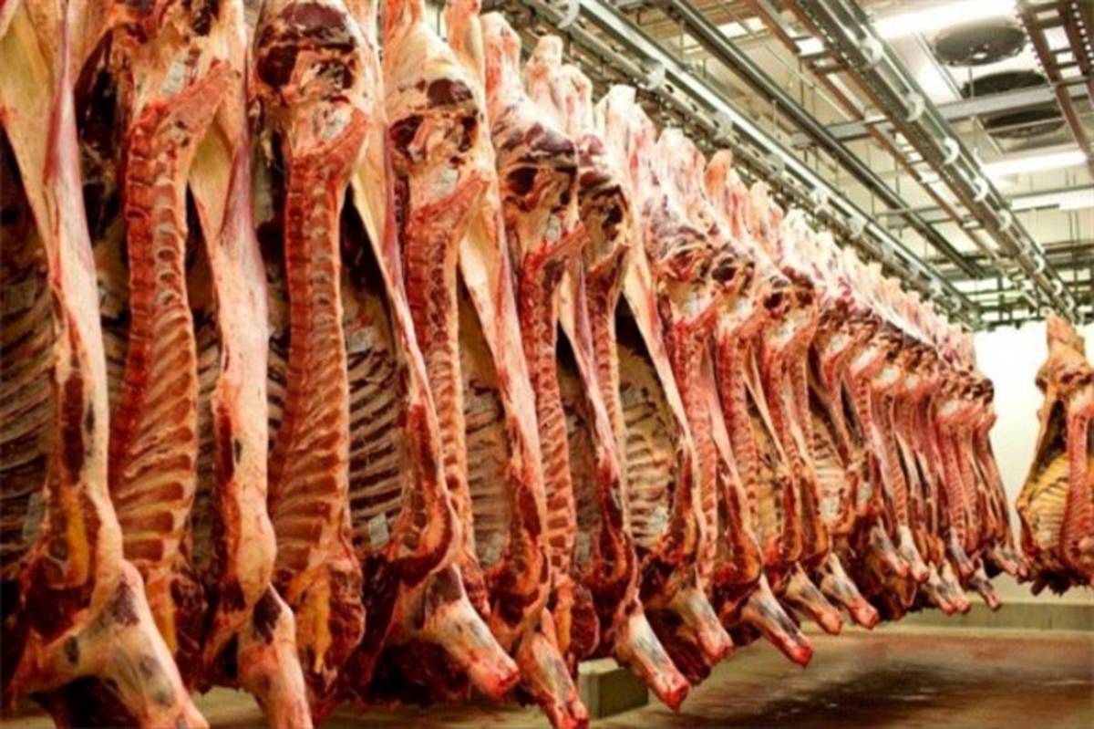 آغاز توزیع 11 تن گوشت گوسفندی در شهرستان خاش