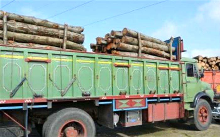 کشف 10 تن چوب جنگلی قاچاق در"پاسارگاد"