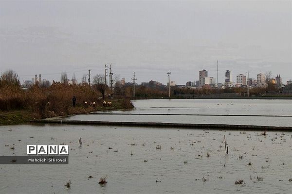 مرگ تدریجی مازندران