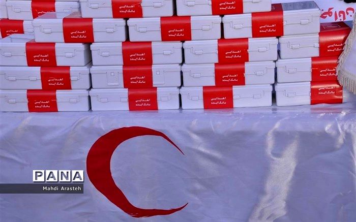 کمک‌های هلال احمر امارات و عربستان به سیل‌زدگان وارد کشور شد + تصویر