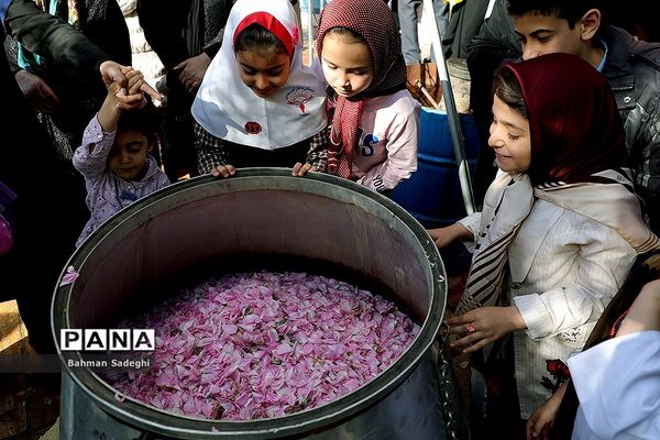 هفدهمین جشنواره  گل و گلاب