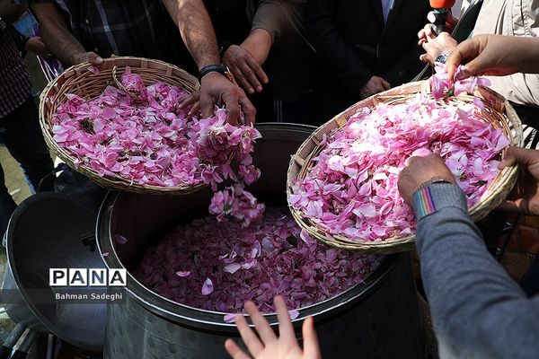 هفدهمین جشنواره  گل و گلاب