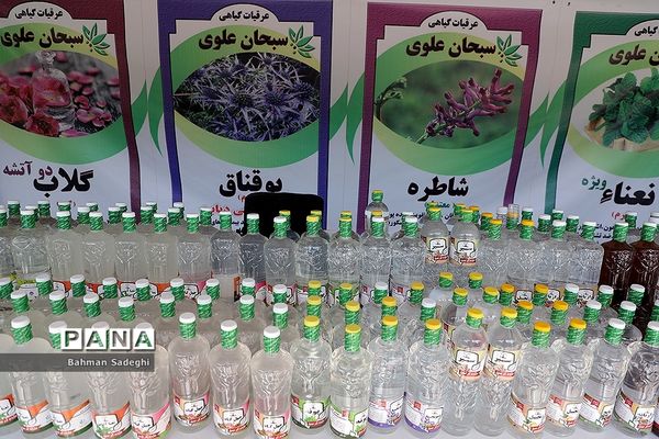 هفدهمین جشنواره  گل و گلاب
