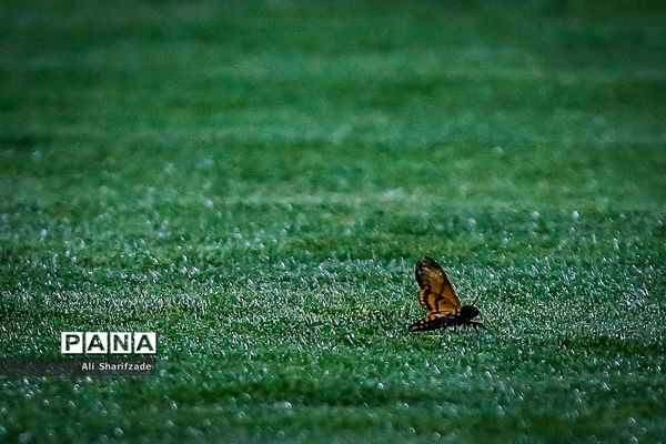 دیدارتیم‌های پرسپولیس و سپاهان