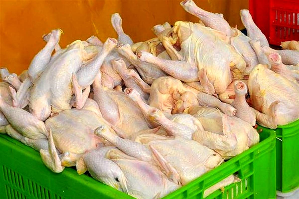 قیمت مرغ در ماه رمضان گران نمی شود