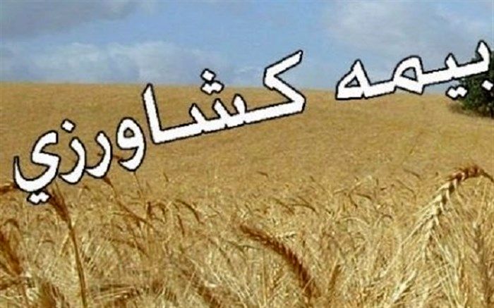 تنها ۱۲ درصد باغات آذربایجان غربی بیمه هستند