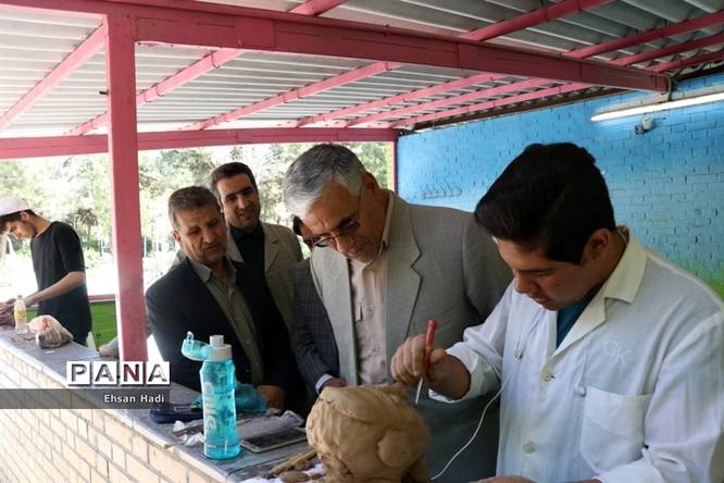 رشته های انفرادی مسابقات فرهنگی و هنری دانشآموزان پسر خراسان رضوی