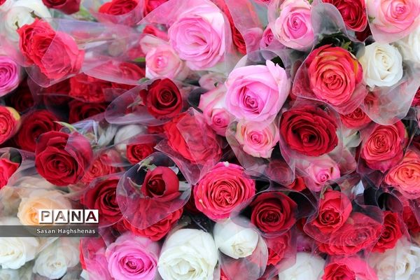 مراسم سپاس معلم در ترمینال فرهنگیان اسلامشهر