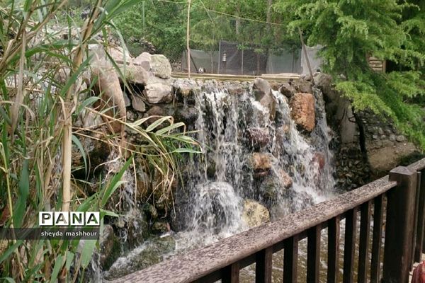 باغ پرندگان