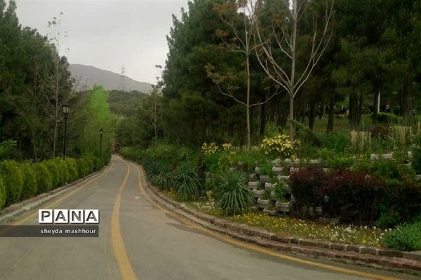 باغ پرندگان